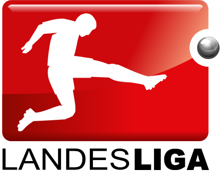  Auch JSG U15 erreicht Landesliga!